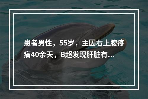 患者男性，55岁，主因右上腹疼痛40余天，B超发现肝脏有占位