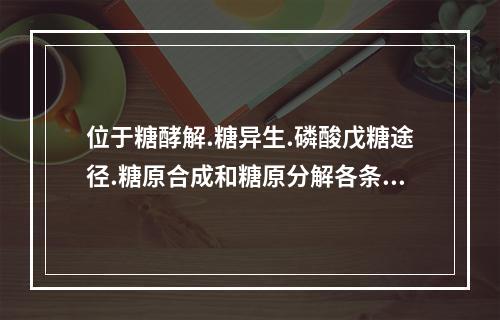 位于糖酵解.糖异生.磷酸戊糖途径.糖原合成和糖原分解各条代谢