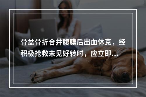 骨盆骨折合并腹膜后出血休克，经积极抢救未见好转时，应立即（　