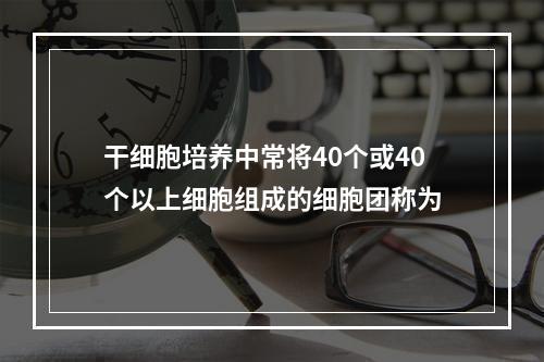 干细胞培养中常将40个或40个以上细胞组成的细胞团称为