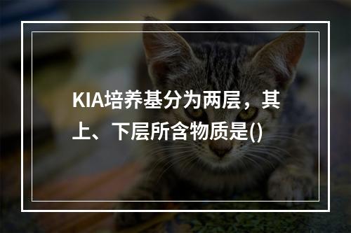 KIA培养基分为两层，其上、下层所含物质是()