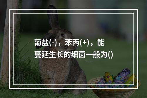 葡盐(-)，苯丙(+)，能蔓延生长的细菌一般为()