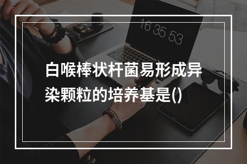 白喉棒状杆菌易形成异染颗粒的培养基是()