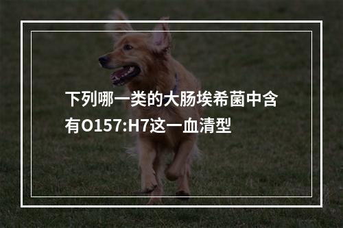 下列哪一类的大肠埃希菌中含有O157:H7这一血清型