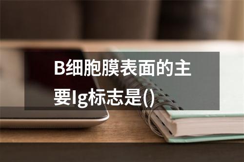 B细胞膜表面的主要Ig标志是()