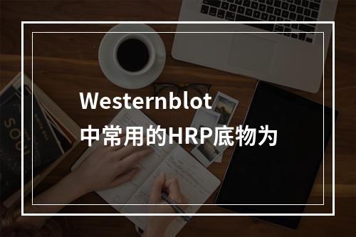 Westernblot中常用的HRP底物为