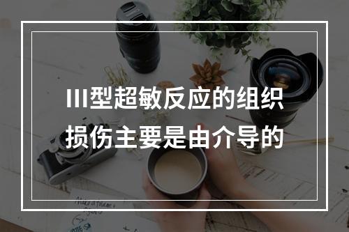 Ⅲ型超敏反应的组织损伤主要是由介导的