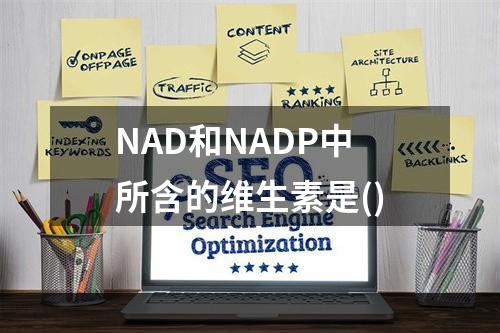 NAD和NADP中所含的维生素是()