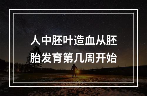 人中胚叶造血从胚胎发育第几周开始