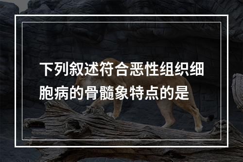 下列叙述符合恶性组织细胞病的骨髓象特点的是