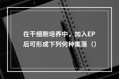 在干细胞培养中，加入EP后可形成下列何种集落（）