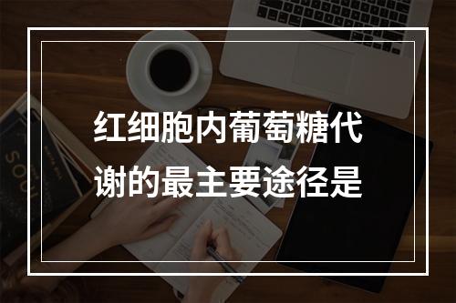 红细胞内葡萄糖代谢的最主要途径是