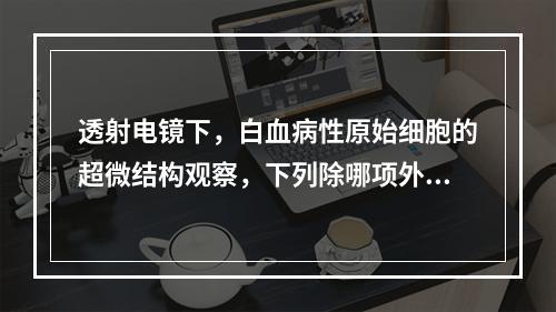 透射电镜下，白血病性原始细胞的超微结构观察，下列除哪项外均可