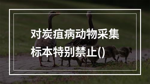 对炭疽病动物采集标本特别禁止()