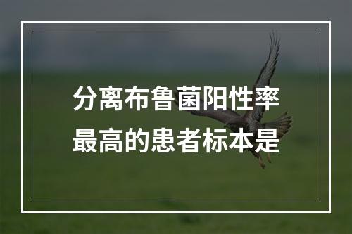 分离布鲁菌阳性率最高的患者标本是