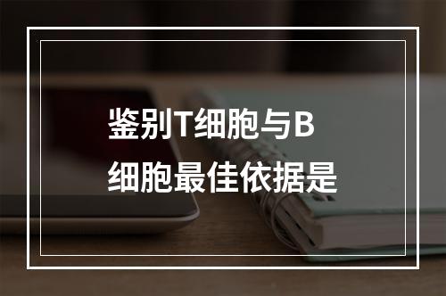 鉴别T细胞与B细胞最佳依据是