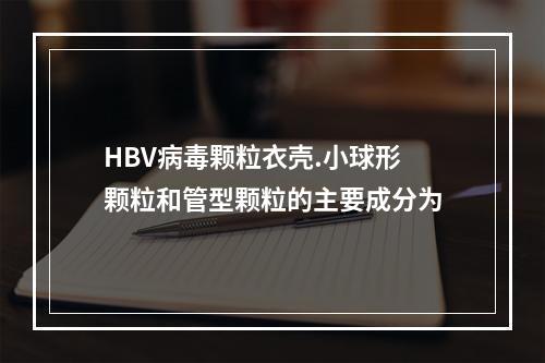 HBV病毒颗粒衣壳.小球形颗粒和管型颗粒的主要成分为