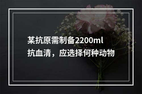 某抗原需制备2200ml抗血清，应选择何种动物