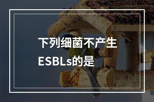 下列细菌不产生ESBLs的是