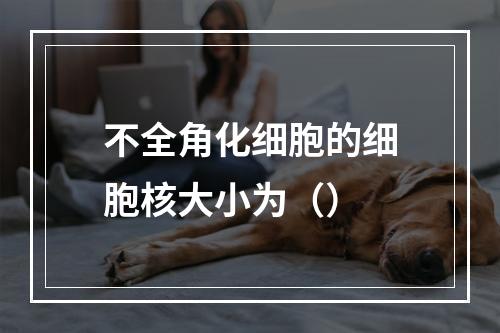 不全角化细胞的细胞核大小为（）