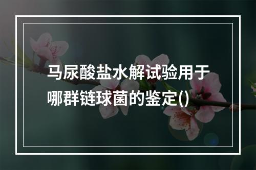 马尿酸盐水解试验用于哪群链球菌的鉴定()