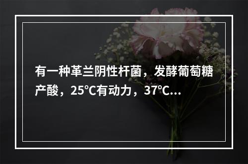 有一种革兰阴性杆菌，发酵葡萄糖产酸，25℃有动力，37℃无动