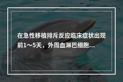 在急性移植排斥反应临床症状出现前1～5天，外周血淋巴细胞及其