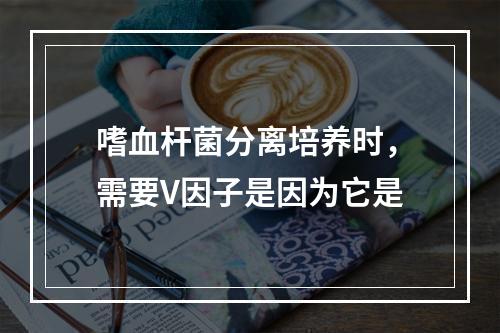 嗜血杆菌分离培养时，需要V因子是因为它是