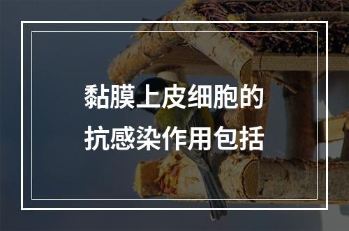 黏膜上皮细胞的抗感染作用包括