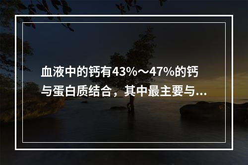 血液中的钙有43%～47%的钙与蛋白质结合，其中最主要与哪种