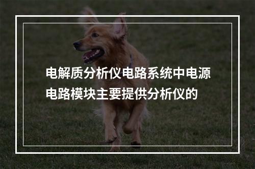 电解质分析仪电路系统中电源电路模块主要提供分析仪的