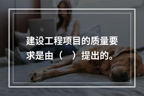 建设工程项目的质量要求是由（　）提出的。