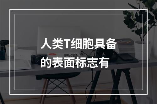 人类T细胞具备的表面标志有