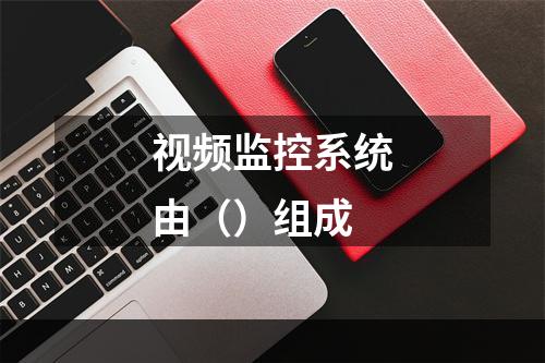 视频监控系统由（）组成