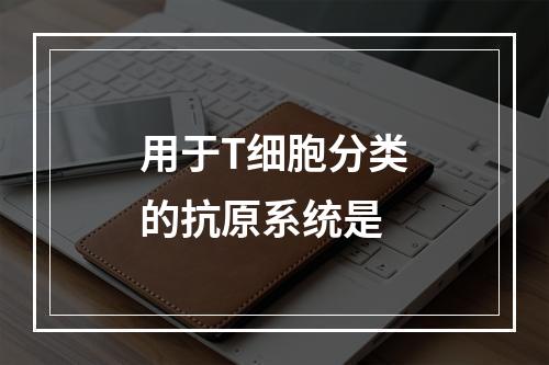 用于T细胞分类的抗原系统是