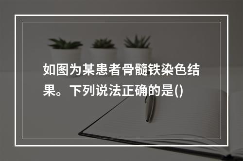 如图为某患者骨髓铁染色结果。下列说法正确的是()