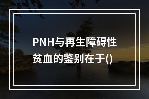 PNH与再生障碍性贫血的鉴别在于()