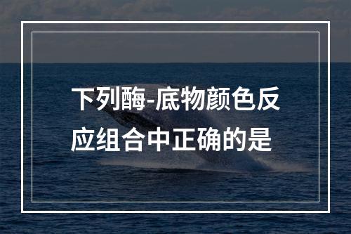 下列酶-底物颜色反应组合中正确的是