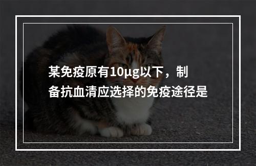 某免疫原有10μg以下，制备抗血清应选择的免疫途径是