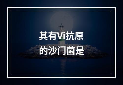 其有Vi抗原的沙门菌是