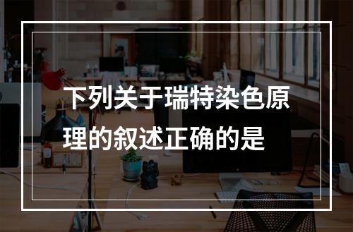 下列关于瑞特染色原理的叙述正确的是