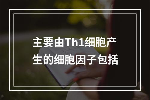 主要由Th1细胞产生的细胞因子包括