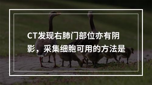 CT发现右肺门部位亦有阴影，采集细胞可用的方法是