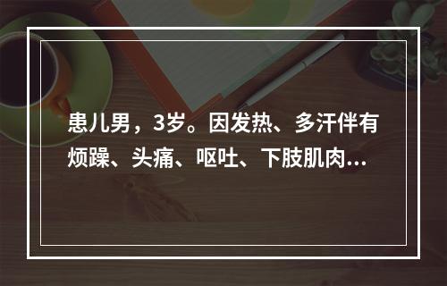 患儿男，3岁。因发热、多汗伴有烦躁、头痛、呕吐、下肢肌肉疼痛