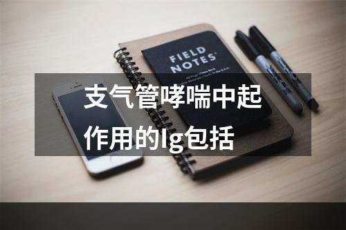 支气管哮喘中起作用的Ig包括