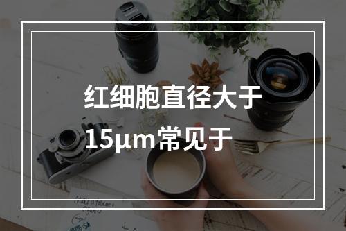 红细胞直径大于15μm常见于