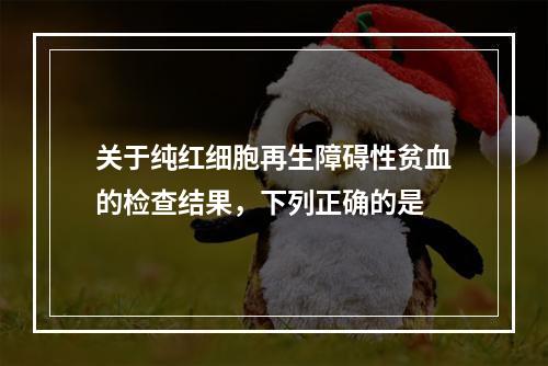 关于纯红细胞再生障碍性贫血的检查结果，下列正确的是