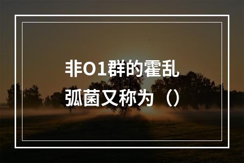 非O1群的霍乱弧菌又称为（）