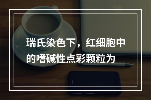 瑞氏染色下，红细胞中的嗜碱性点彩颗粒为