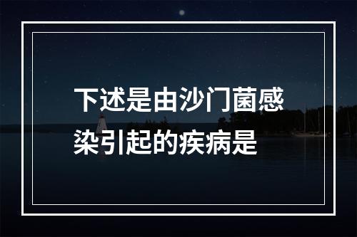 下述是由沙门菌感染引起的疾病是